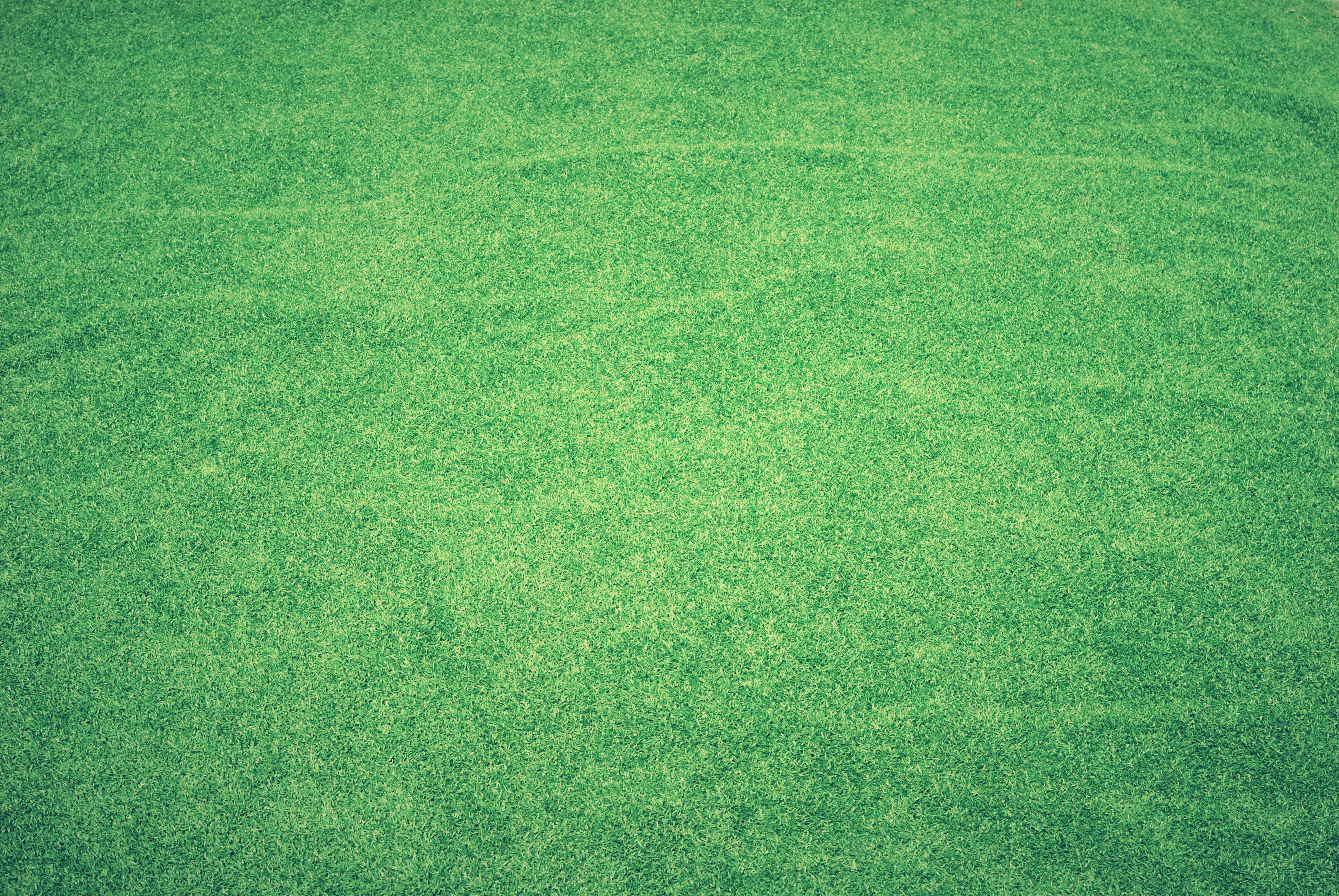 Test Hello Post